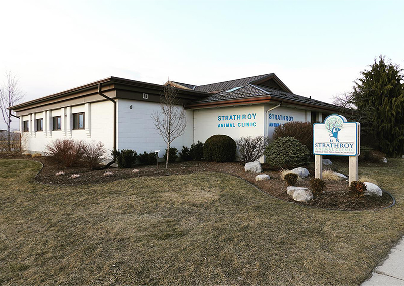 Carousel Slide 2: Learn more about us!